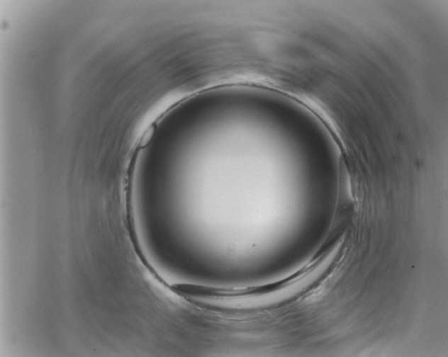 X0000063501151200601231431