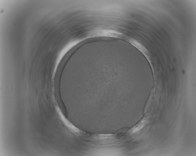 X0000063501152200601231431