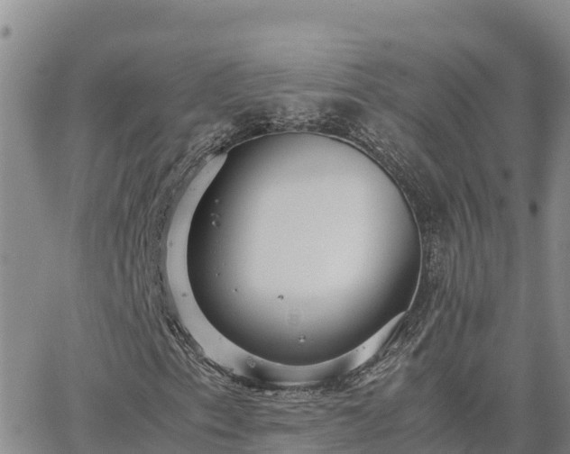 X0000063501153200601231430