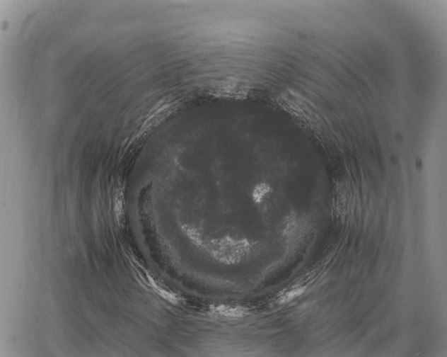 X0000063501154200601231430