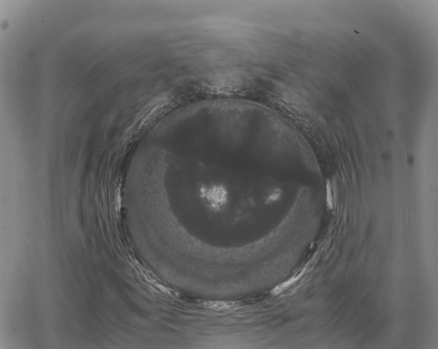 X0000063501155200601231430