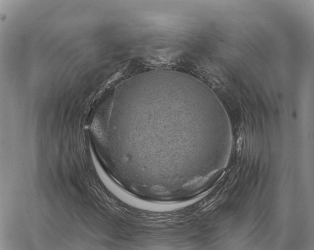 X0000063501156200601231430