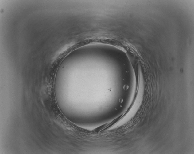 X0000063501159200601231430