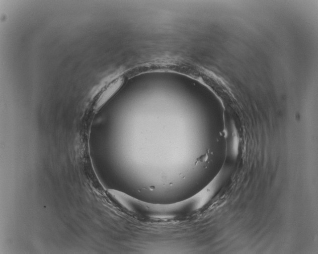 X0000063501160200601231430