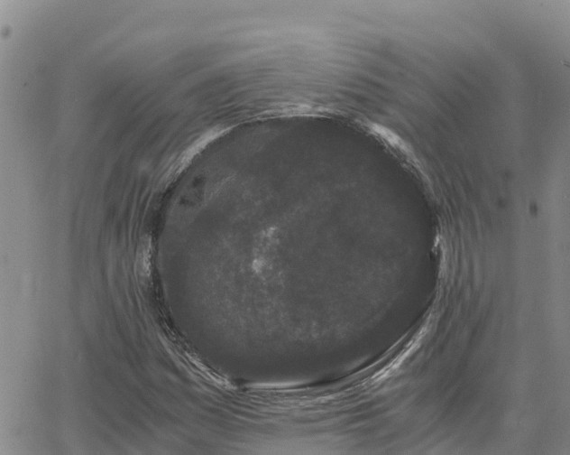 X0000063501161200601231430