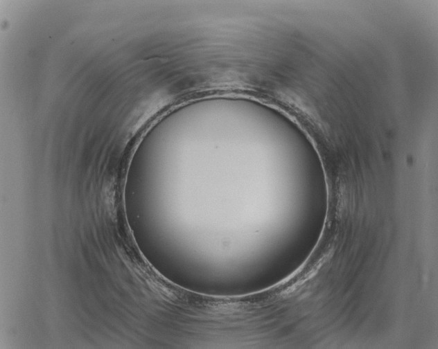 X0000063501162200601231430