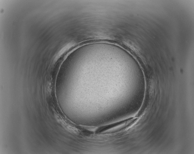 X0000063501163200601231430