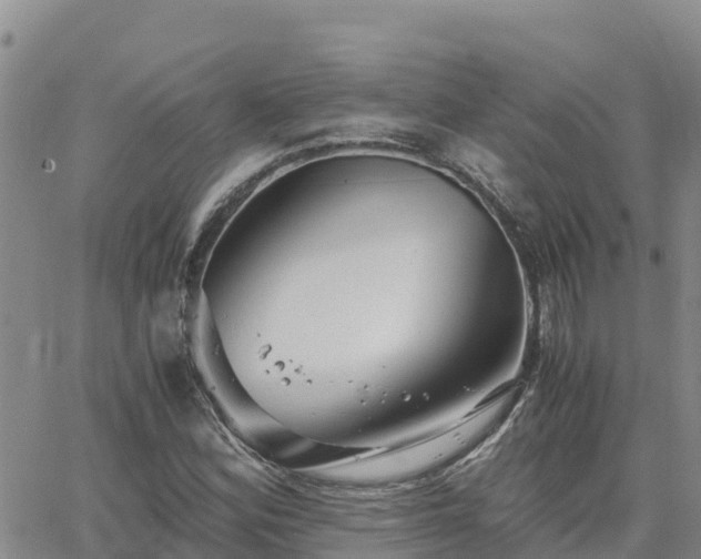 X0000063501164200601231430