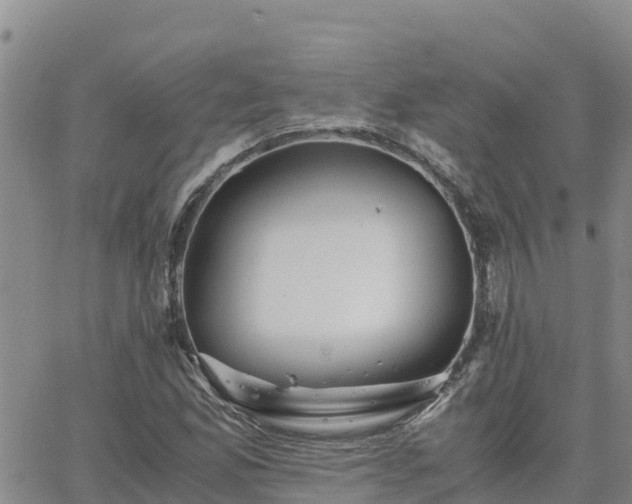 X0000063501165200601231430