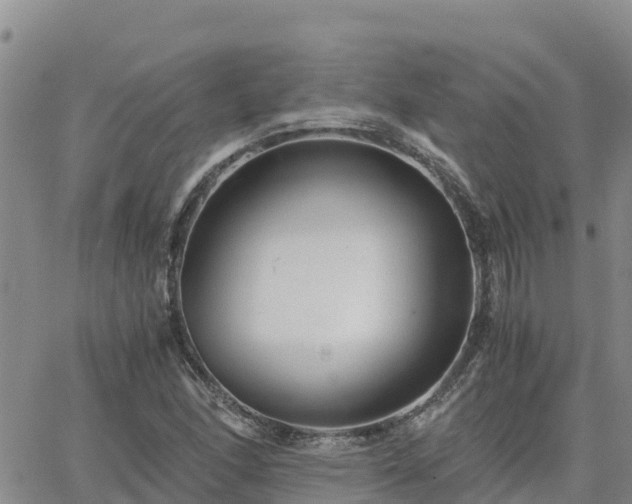 X0000063501166200601231430