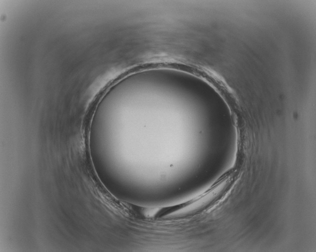 X0000063501167200601231430