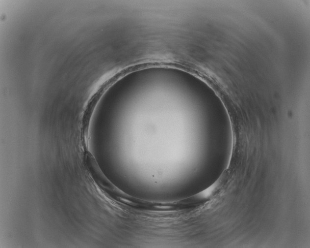 X0000063501168200601231430