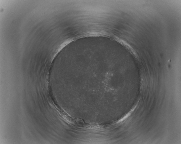 X0000063501170200601231430