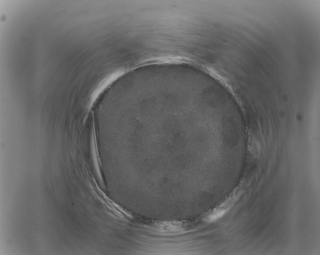 X0000063501171200601231430