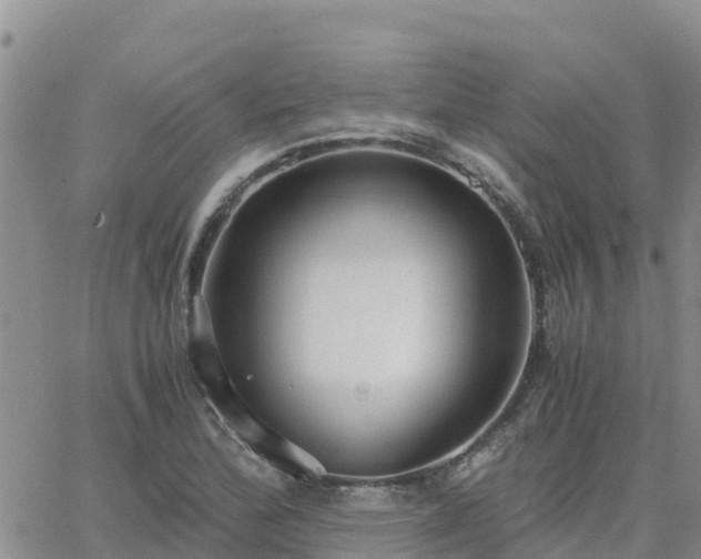 X0000063501172200601231430