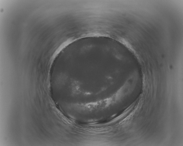 X0000063501173200601231430