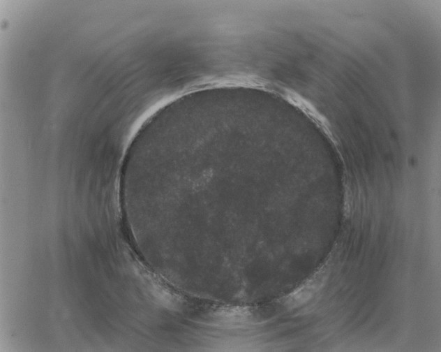 X0000063501174200601231430