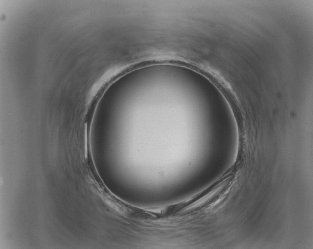 X0000063501175200601231429