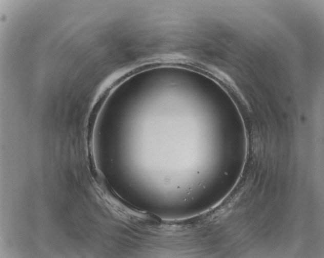 X0000063501176200601231429