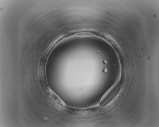 X0000063501177200601231429