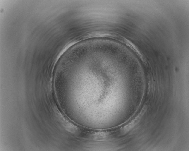 X0000063501178200601231429