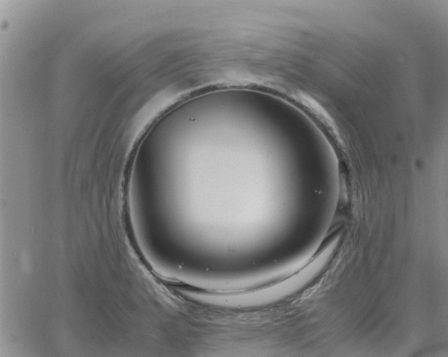 X0000063501183200601231429