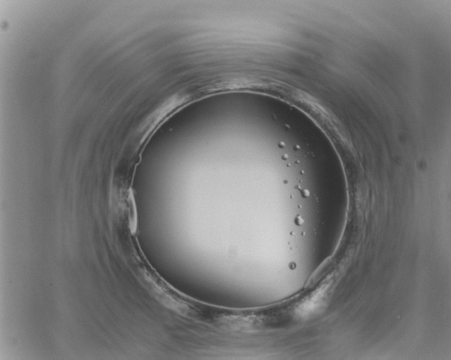 X0000063501185200601231429