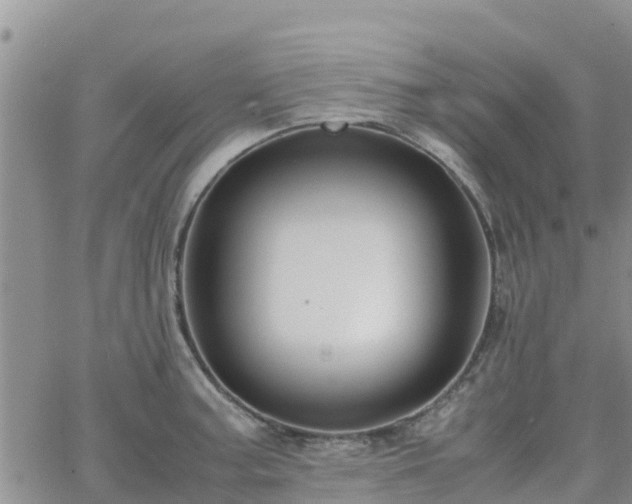 X0000063501187200601231429