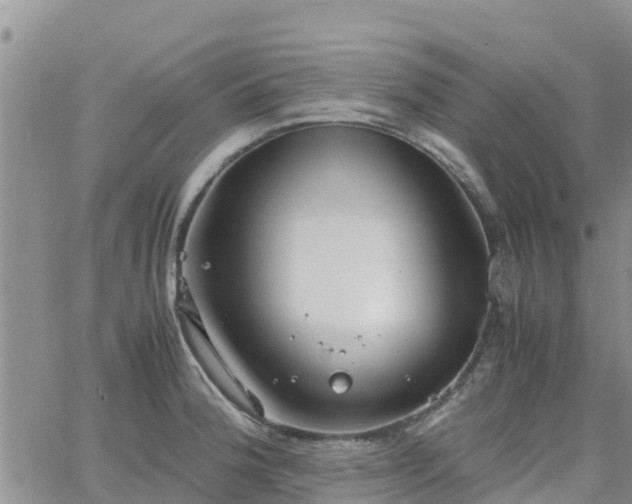 X0000063501188200601231429