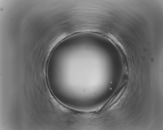 X0000063501189200601231429