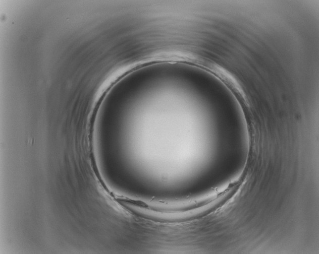 X0000063501192200601231429