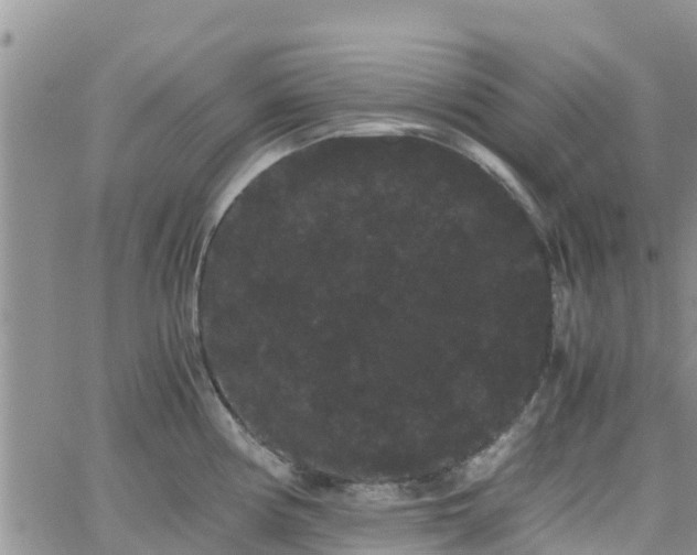 X0000063501194200601231429