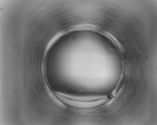 X0000063501196200601231429