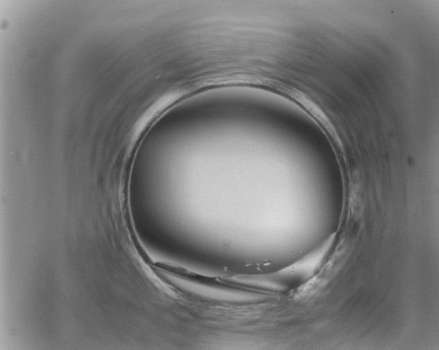 X0000063501197200601231429