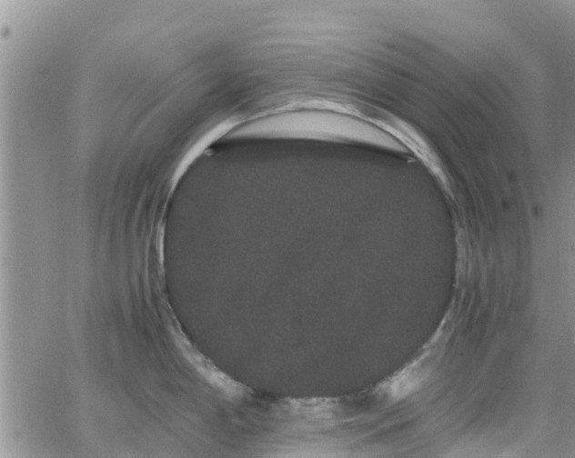 X0000063501198200601231429