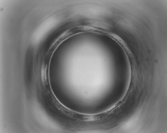 X0000063501199200601231429