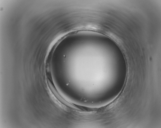 X0000063501200200601231429