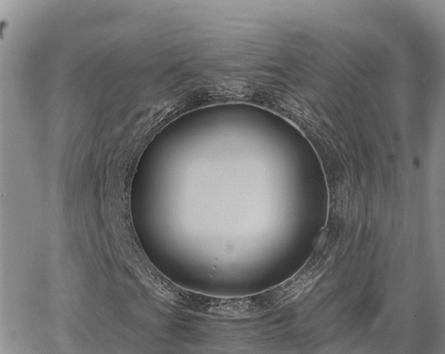 X0000063501201200601231428