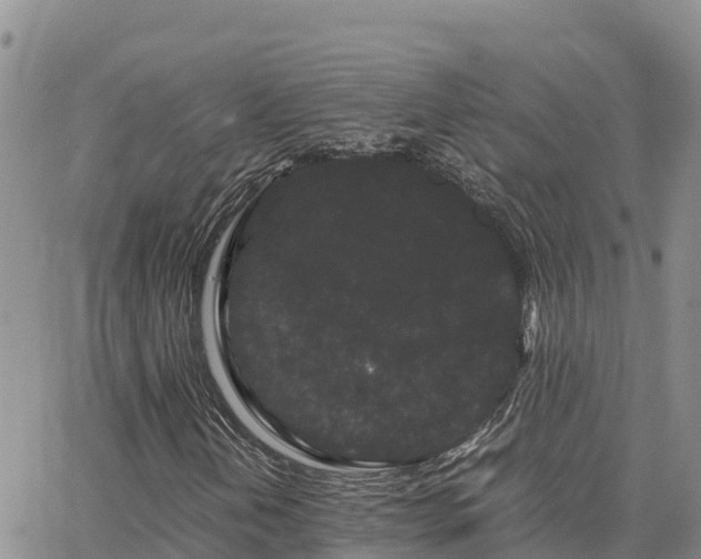 X0000063501202200601231428