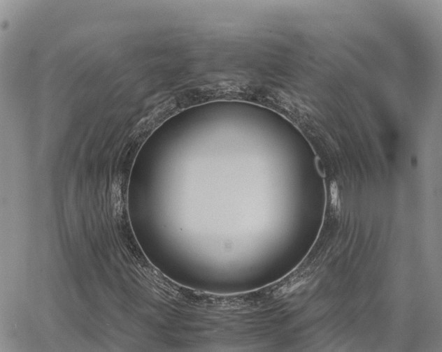 X0000063501203200601231428