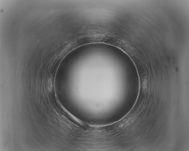 X0000063501204200601231428