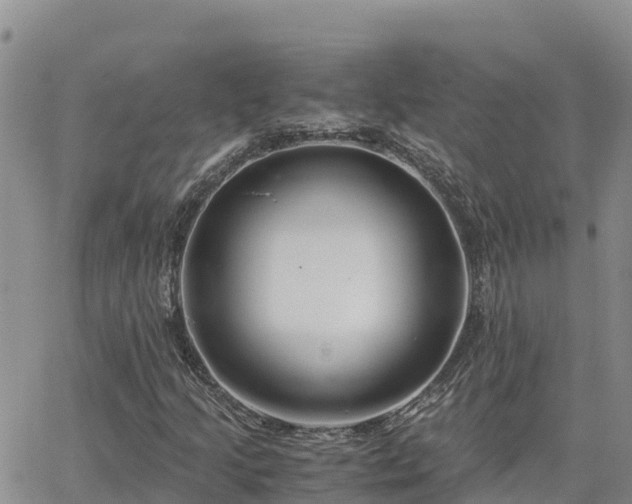 X0000063501205200601231428