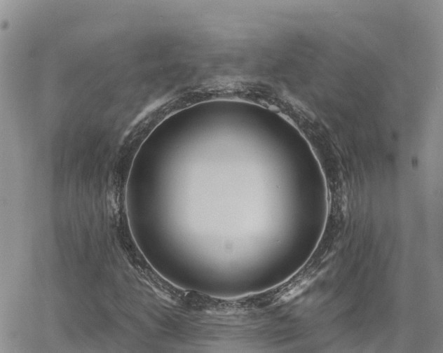 X0000063501206200601231428