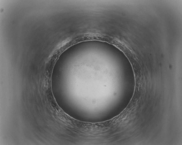 X0000063501207200601231428