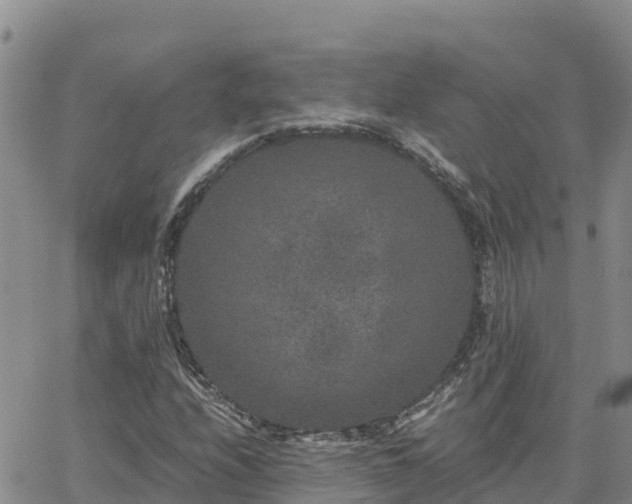 X0000063501208200601231428