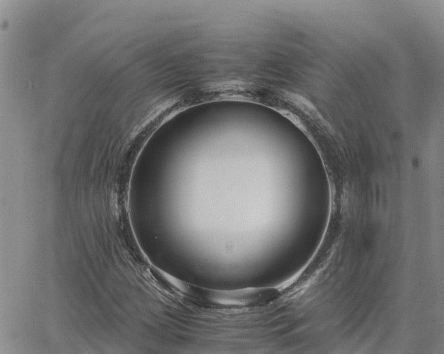 X0000063501209200601231428