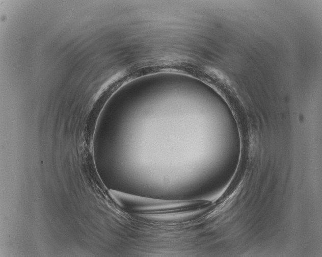 X0000063501210200601231428