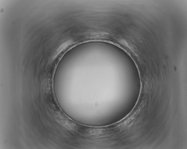 X0000063501211200601231428