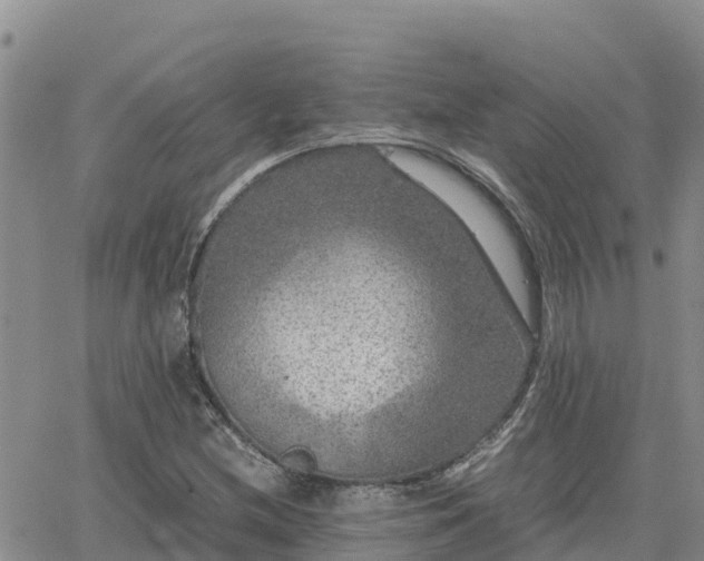 X0000063501212200601231428