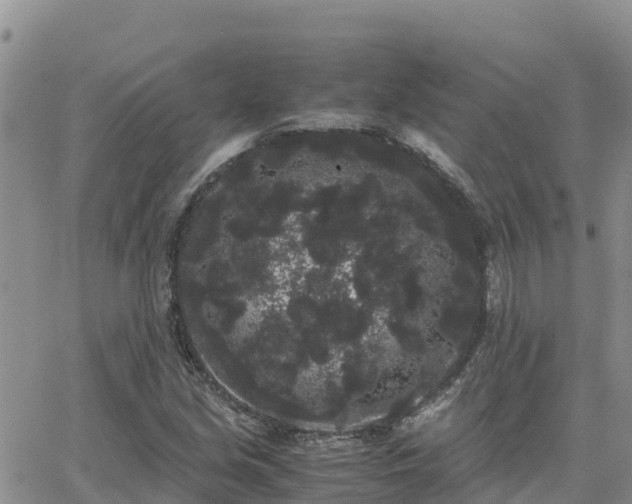 X0000063501213200601231429